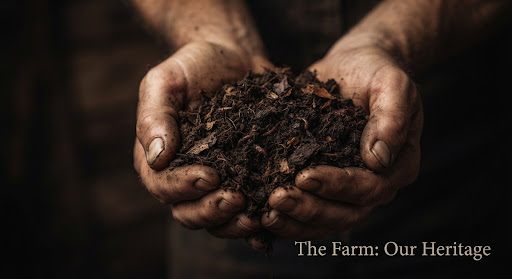 Rich compost soil held in cupped hands